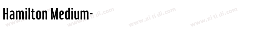 Hamilton Medium字体转换